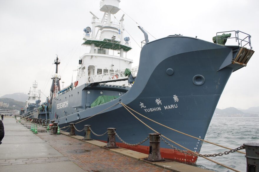 調査捕鯨船２隻、下関港に帰港