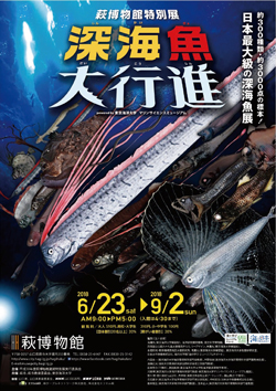 【萩市】日本最大級の深海魚展