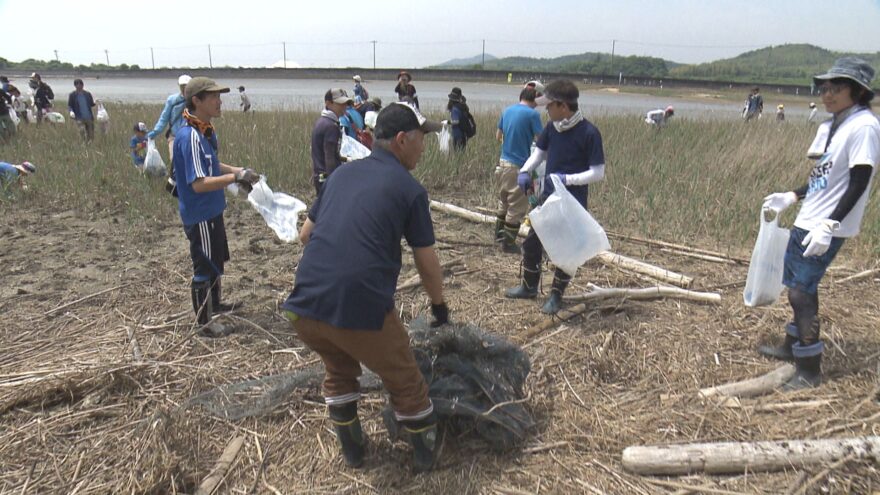 【山口市】クロツラヘラサギを守るための海岸清掃