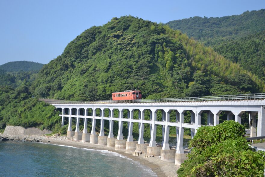 【萩市】ディーゼル列車でGO！海の危険生物ウォッチングツアー