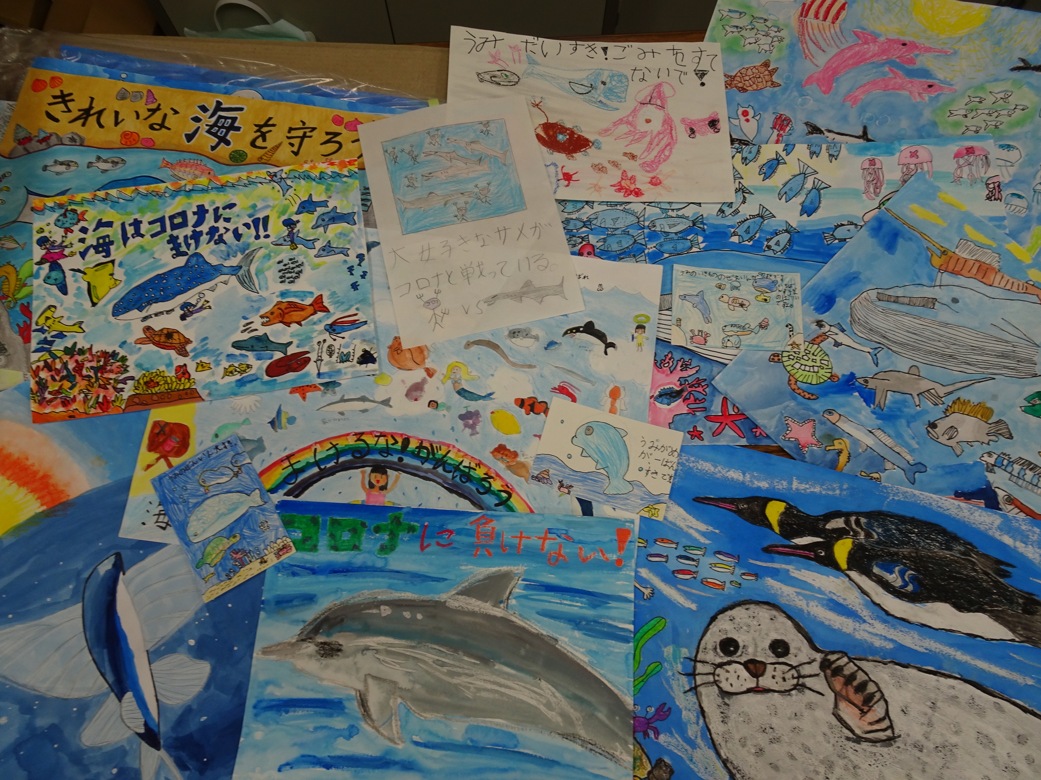 山口県全県 泳げ みんなのお魚プロジェクト たくさんのご応募ありがとうございました 海と日本project In やまぐち