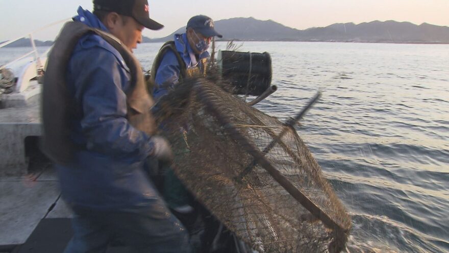 【下関市】今年のイカシバ漁は・・・