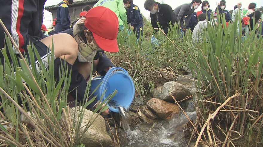 【山口市】子どもたちがアユを放流