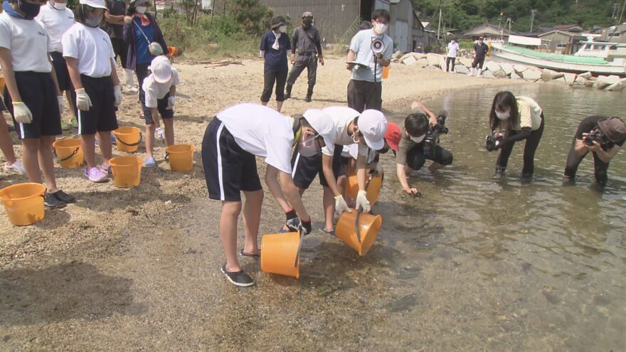 【周南市】トラフグの稚魚放流