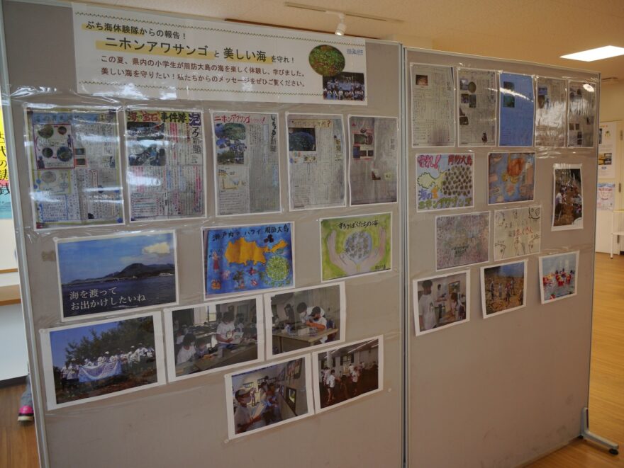 【周防大島町】ぶち海体験隊からの活動報告　見に来てね～☆