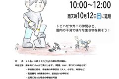 【山口市】干潟の生き物観察会　10月6日（日）開催